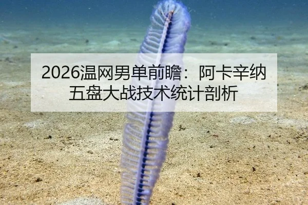 2026温网男单前瞻：阿卡辛纳五盘大战技术统计剖析